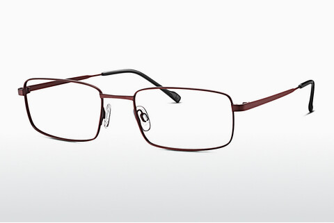 Brýle TITANFLEX EBT 820849 50