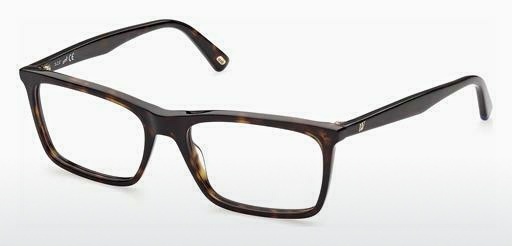 Brýle Web Eyewear WE5374 052
