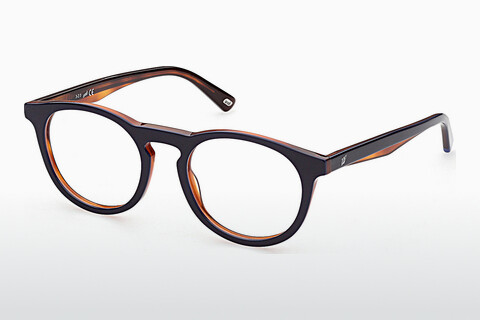 Brýle Web Eyewear WE5375 092