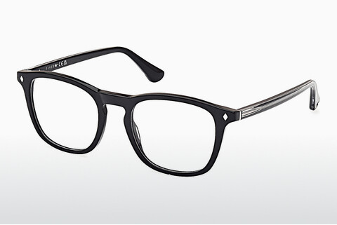 Brýle Web Eyewear WE5386 005