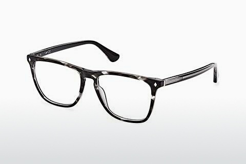 Brýle Web Eyewear WE5390 005