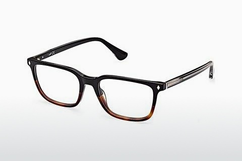Brýle Web Eyewear WE5391 056