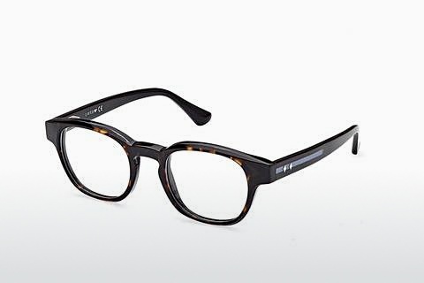 Brýle Web Eyewear WE5411 056