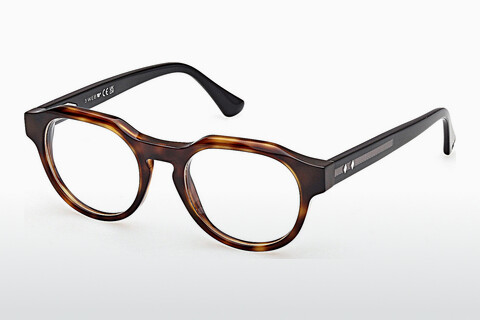 Brýle Web Eyewear WE5421 055