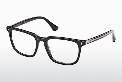 Brýle Web Eyewear WE5430 001