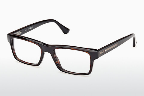 Brýle Web Eyewear WE5432 056