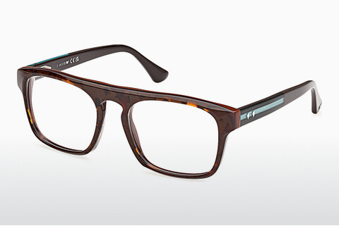 Brýle Web Eyewear WE5434 052