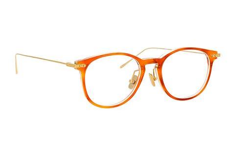 Brýle Linda Farrow LF01/V C5