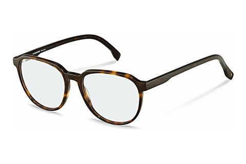 Brýle Rodenstock R5353 B000