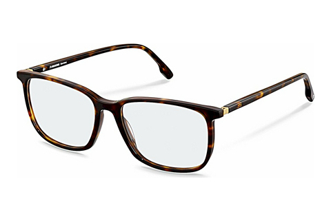 Brýle Rodenstock R5360 B000