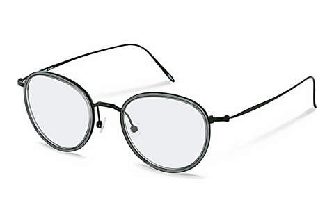 Brýle Rodenstock R7096 E000