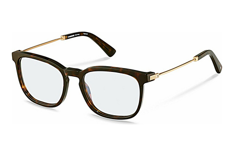 Brýle Rodenstock R8029 B000