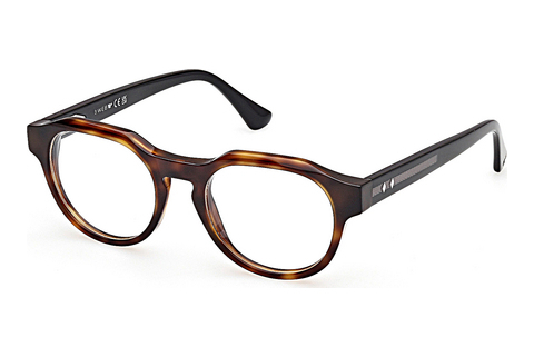 Brýle Web Eyewear WE5421 055