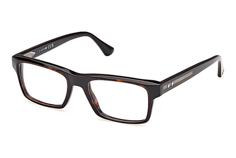 Brýle Web Eyewear WE5432 056