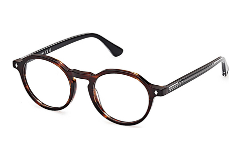 Brýle Web Eyewear WE5440 052