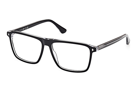 Brýle Web Eyewear WE5442 001