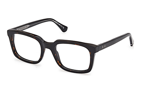 Brýle Web Eyewear WE5445 056