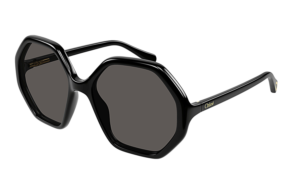 Chloé   CC0004S 007 BLACK