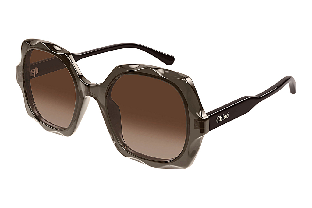 Chloé   CH0226S 007 BROWN