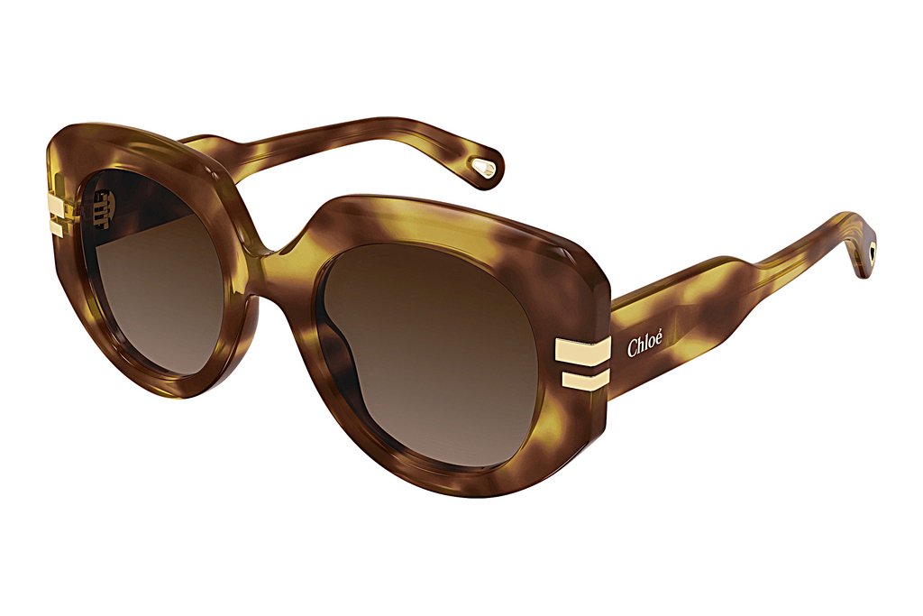 Chloé   CH0257S 002 HAVANA