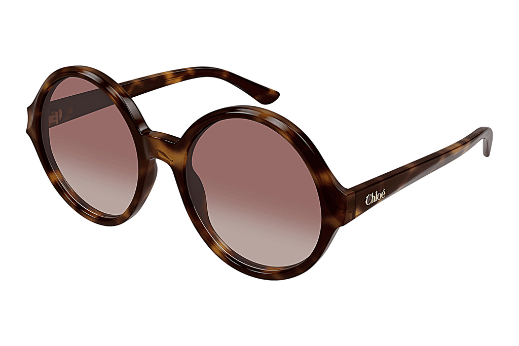 Chloé   CH0290S 003 HAVANA