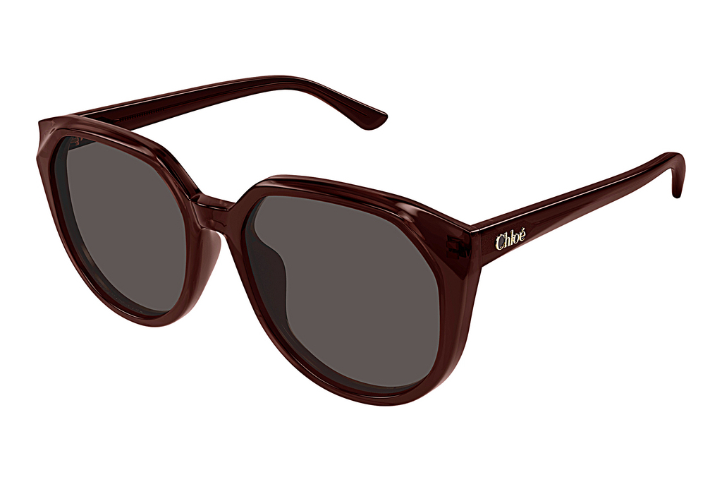 Chloé   CH0291SK 002 BROWN