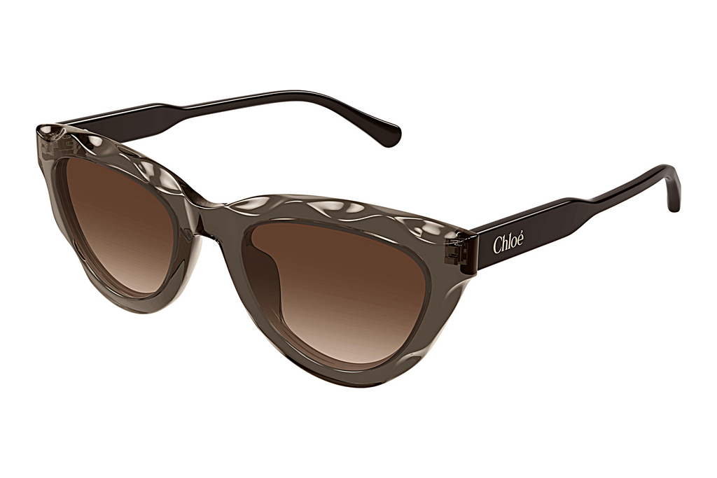 Chloé   CH0294S 003 BROWN