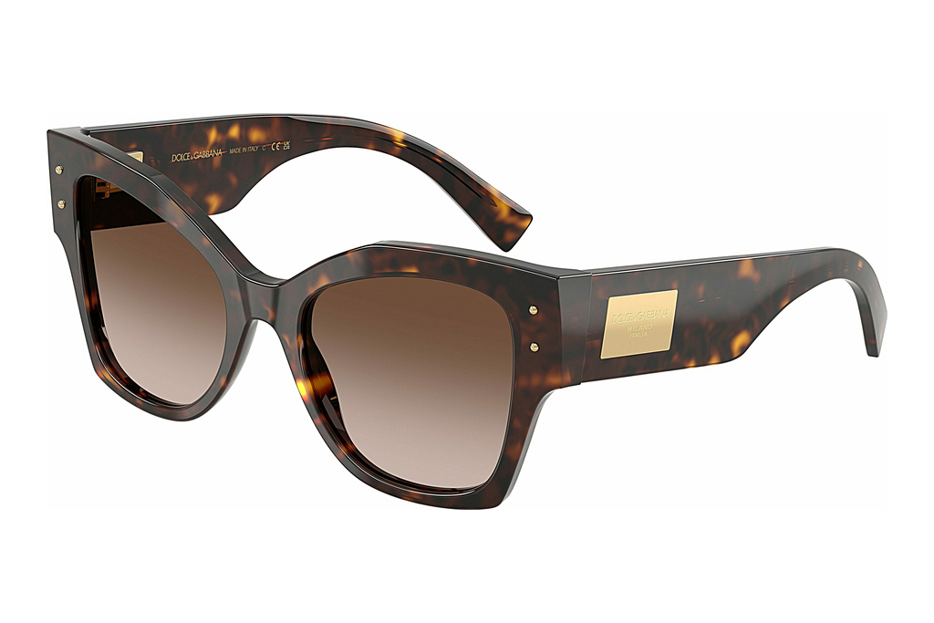 Dolce & Gabbana   DG4478 502/13 Gradient BrownHavana