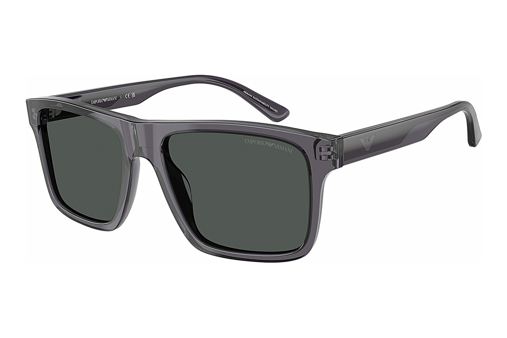 Emporio Armani   EA4232 610687 SmokeTransparent Dark Grey