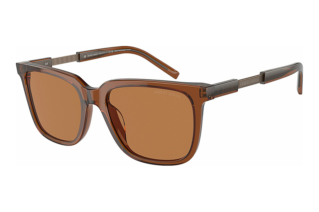 Giorgio Armani   AR8202U 604973 BrownTrasparent Brown