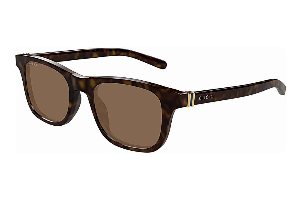 Gucci   GG1671S 006 HAVANA