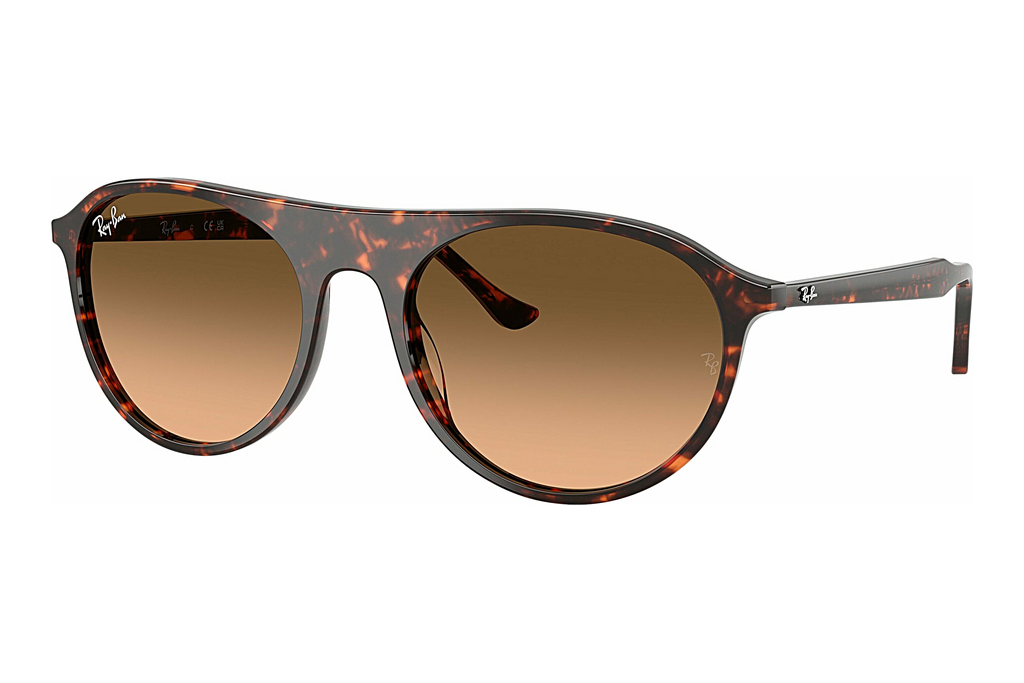 Ray-Ban   RB2215 14293B Pink Gradient BlackHavana Red Turtle