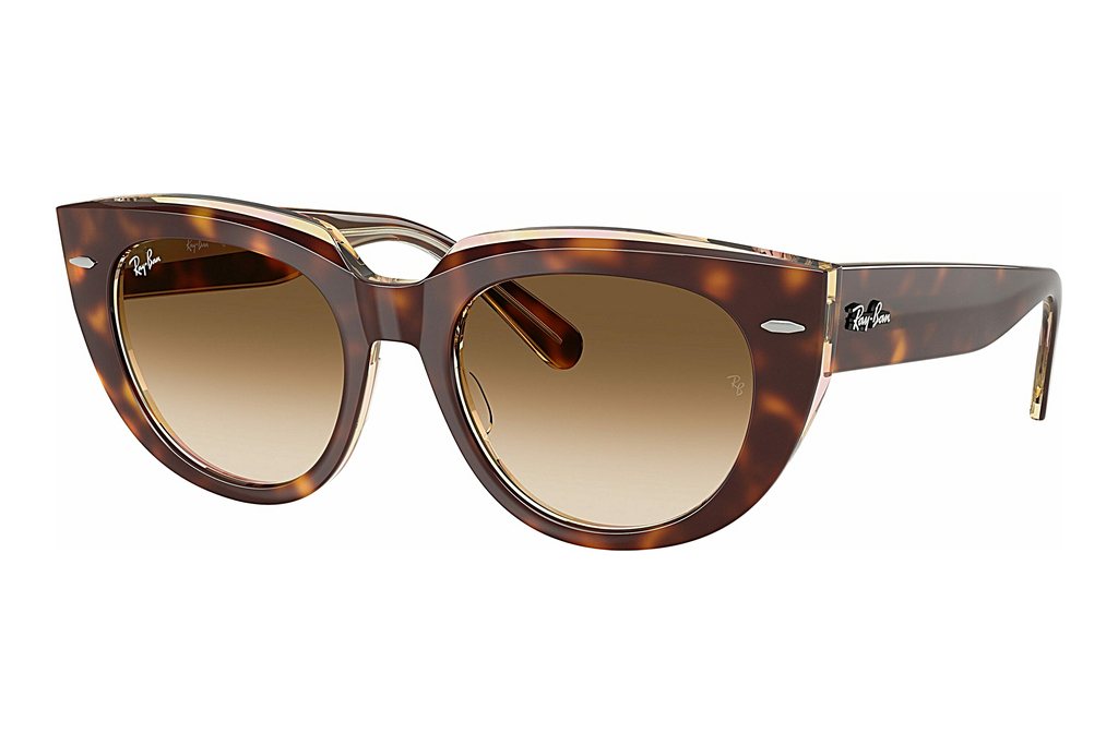 Ray-Ban   RB2286 141451 Clear Gradient BrownLight Havana On Transparent Multicolor