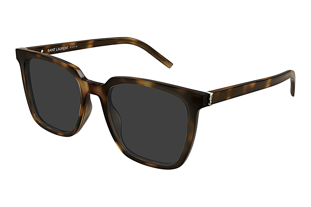 Saint Laurent   SL M146 003 HAVANA