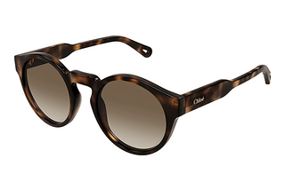 Chloé CH0158S 002 HAVANA