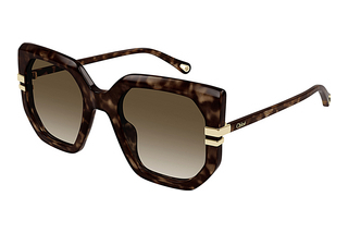 Chloé CH0240S 002 HAVANA