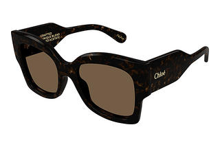 Chloé CH0252S 002 HAVANA