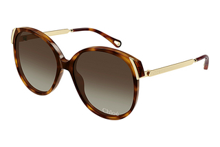 Chloé CH0285S 002 HAVANA