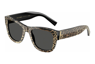 Dolce & Gabbana DG4338 316387 Dark GreyTop Leo On Black