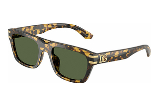 Dolce & Gabbana DG4496 333071 Dark GreenYellow Havana