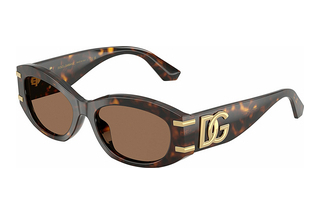 Dolce & Gabbana DG4502 502/73