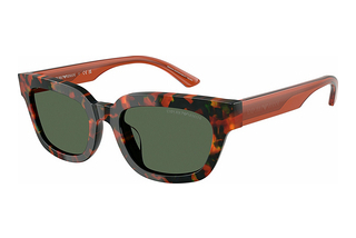 Emporio Armani EA4233U 618271 Dark GreenHavana Brown