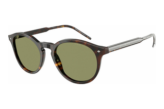 Giorgio Armani AR8211 587914 GreenHavana