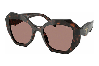 Prada PR 16WS 17N60B Light BrownRoot Tortoise