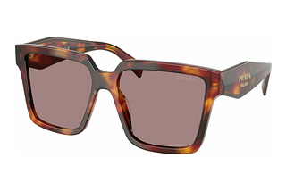 Prada PR 24ZS 22A20I Light Purple BrownPoppy Tortoise