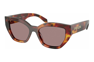 Prada PR A09S 22A20I Light Purple BrownPoppy Tortoise