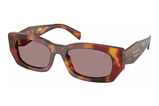 Prada PR B05S 22A20I Light Purple BrownPoppy Tortoise