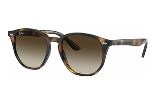 Ray-Ban Kids RJ9070S 152/13 Brown/Dark BrownHavana