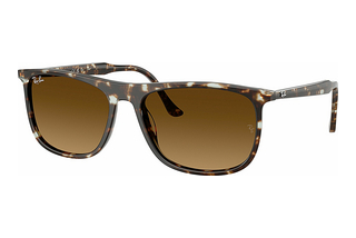 Ray-Ban RB2216 143185 Gradient BrownHavana Yellow Turtle