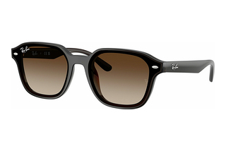 Ray-Ban RB4458D 714/13 Gradient BrownTransparent Dark Brown